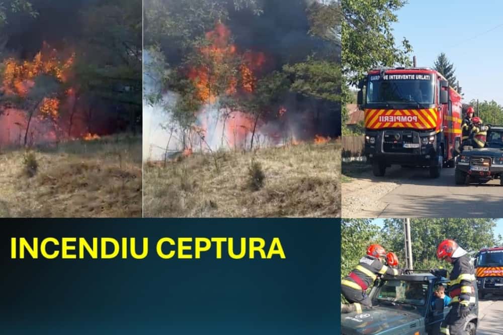 Localnicii din Ceptura, în sprijinul pompierilor pentru stingerea unui incendiu de vegetație